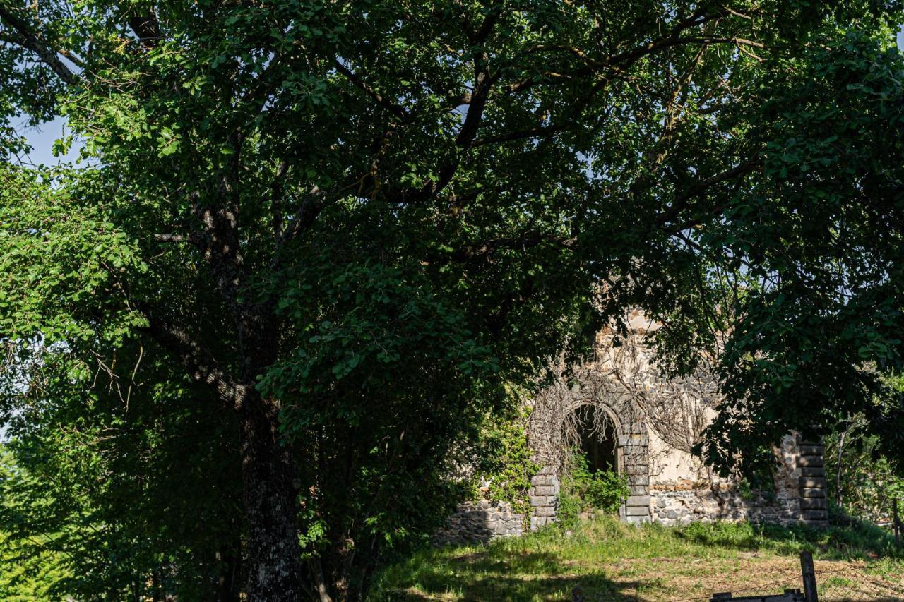 Villa Le Casette Di Luisa Bagnoregio Exterior foto